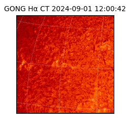 gong - 2024-09-01T12:00:42