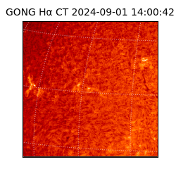 gong - 2024-09-01T14:00:42