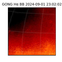 gong - 2024-09-01T23:02:02