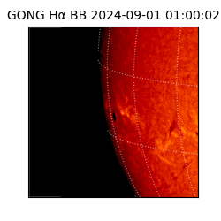 gong - 2024-09-01T01:00:02