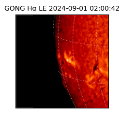 gong - 2024-09-01T02:00:42