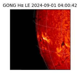 gong - 2024-09-01T04:00:42