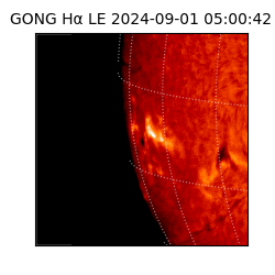 gong - 2024-09-01T05:00:42