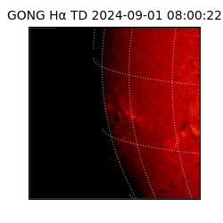 gong - 2024-09-01T08:00:22