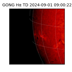 gong - 2024-09-01T09:00:22