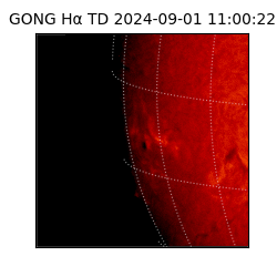 gong - 2024-09-01T11:00:22