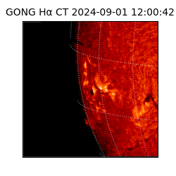 gong - 2024-09-01T12:00:42
