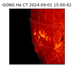 gong - 2024-09-01T15:00:42