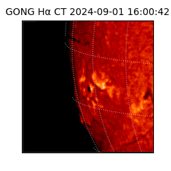 gong - 2024-09-01T16:00:42