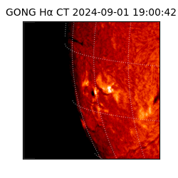 gong - 2024-09-01T19:00:42