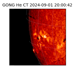 gong - 2024-09-01T20:00:42