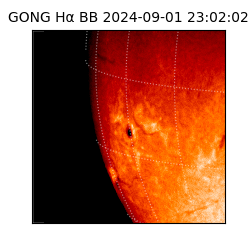 gong - 2024-09-01T23:02:02