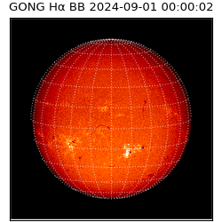 gong - 2024-09-01T00:00:02