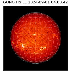 gong - 2024-09-01T04:00:42