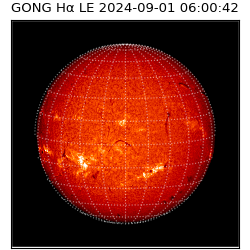 gong - 2024-09-01T06:00:42