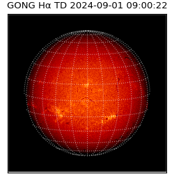 gong - 2024-09-01T09:00:22