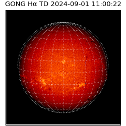 gong - 2024-09-01T11:00:22