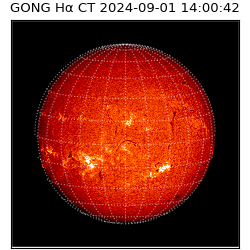 gong - 2024-09-01T14:00:42