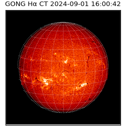 gong - 2024-09-01T16:00:42
