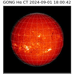 gong - 2024-09-01T18:00:42