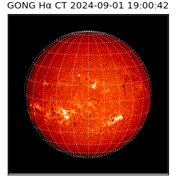 gong - 2024-09-01T19:00:42