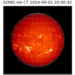 gong - 2024-09-01T20:00:42