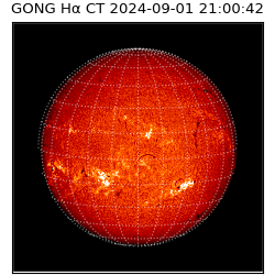 gong - 2024-09-01T21:00:42