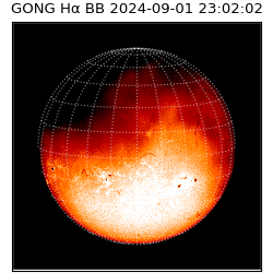 gong - 2024-09-01T23:02:02