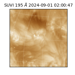 suvi - 2024-09-01T02:00:47.850000