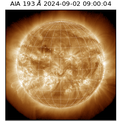 saia - 2024-09-02T09:00:04.843000