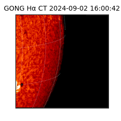 gong - 2024-09-02T16:00:42