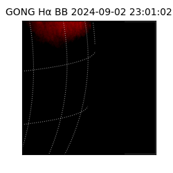 gong - 2024-09-02T23:01:02