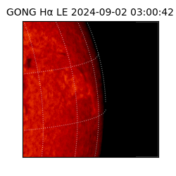 gong - 2024-09-02T03:00:42