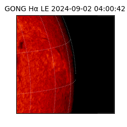 gong - 2024-09-02T04:00:42