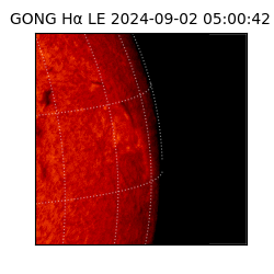 gong - 2024-09-02T05:00:42