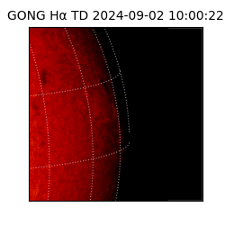 gong - 2024-09-02T10:00:22