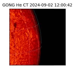 gong - 2024-09-02T12:00:42