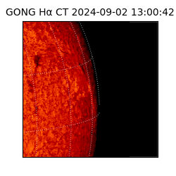 gong - 2024-09-02T13:00:42