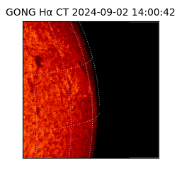 gong - 2024-09-02T14:00:42