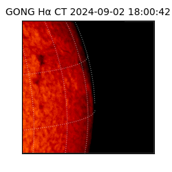 gong - 2024-09-02T18:00:42