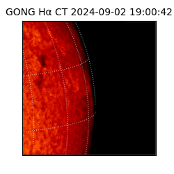 gong - 2024-09-02T19:00:42