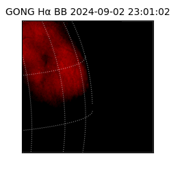 gong - 2024-09-02T23:01:02