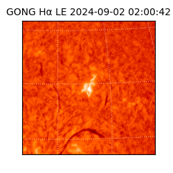 gong - 2024-09-02T02:00:42