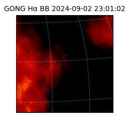 gong - 2024-09-02T23:01:02