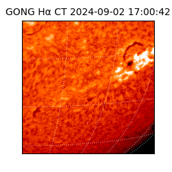 gong - 2024-09-02T17:00:42