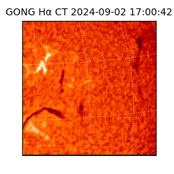 gong - 2024-09-02T17:00:42