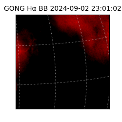 gong - 2024-09-02T23:01:02