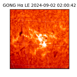 gong - 2024-09-02T02:00:42