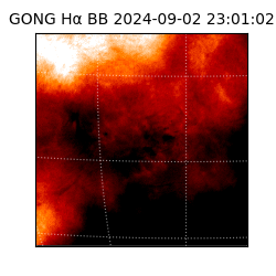 gong - 2024-09-02T23:01:02