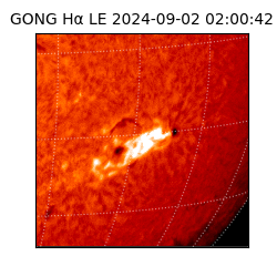 gong - 2024-09-02T02:00:42